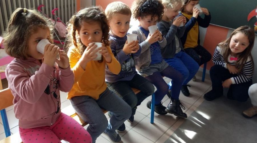 Dégustation PS MS 1